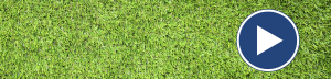 grass-banner-3